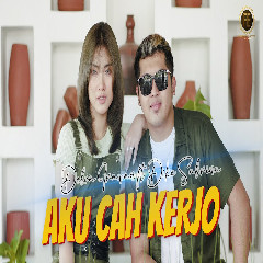 Delva Irawan - Aku Cah Kerjo Feat Dike Sabrina Mp3