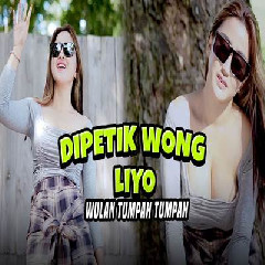 Wulan Tumpah Tumpah - Dipetik Wong Liyo Mp3